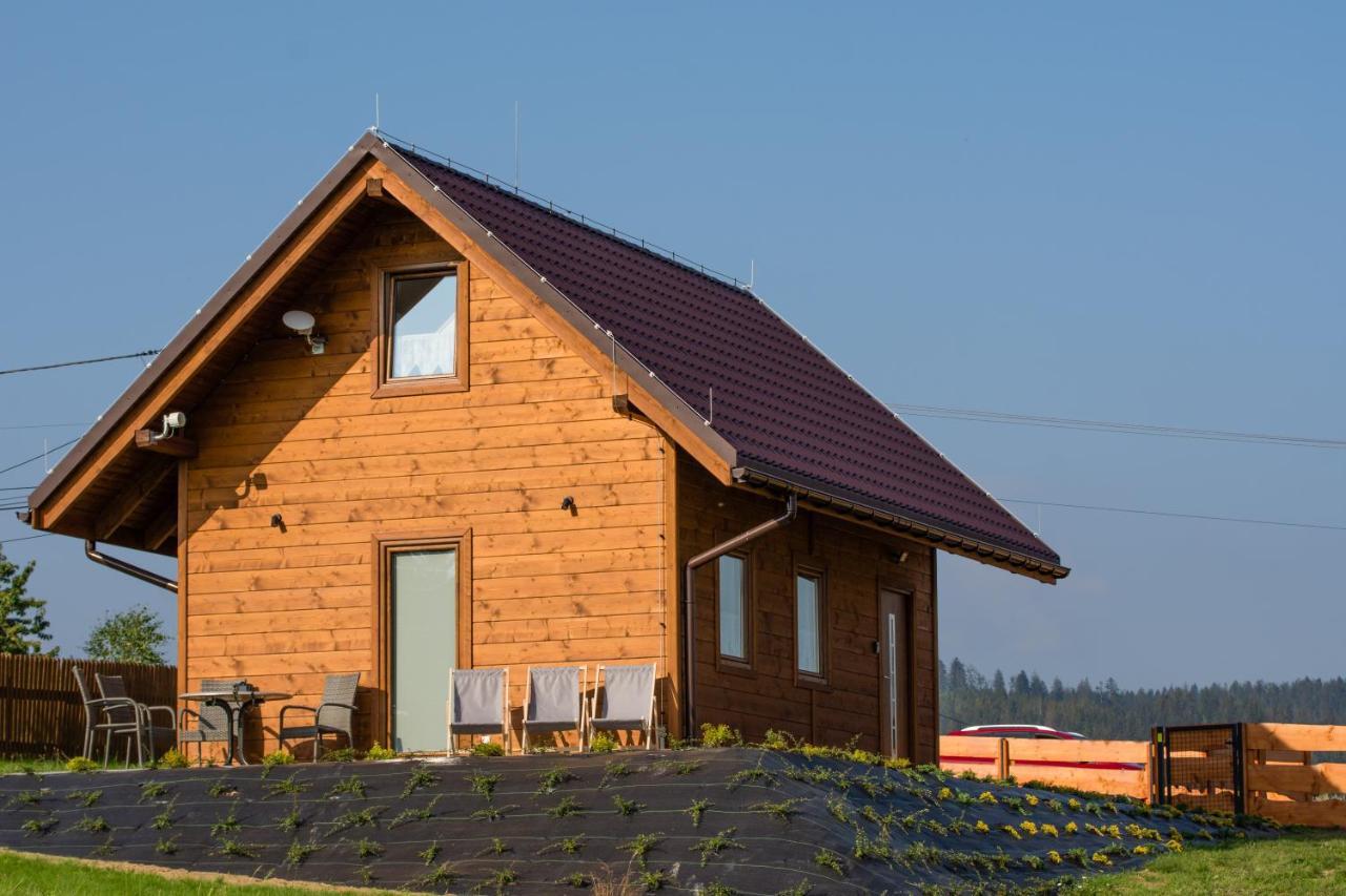 U Jana I Wita Istebna Exterior foto